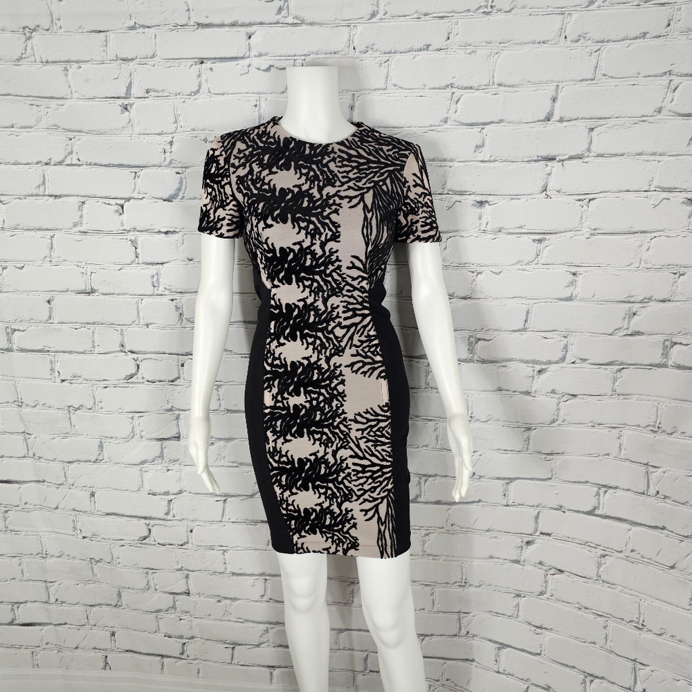 Yigal Azrouel Coral Reef Burnout Sheath Dress